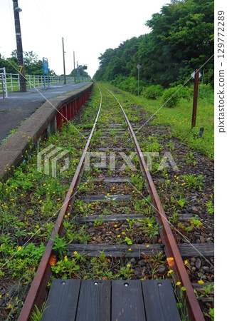 從JR津輕線的終點站南谷站往神田方向望去，車站停駛，雜草叢生（青森縣外濱町） 129772289
