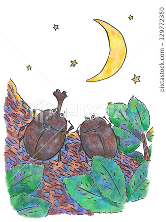 犀牛甲蟲和星空的插圖 犀牛甲蟲和星空的插圖 129772350