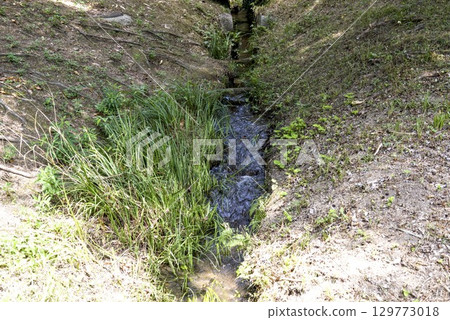 A small waterway in the park 129773018