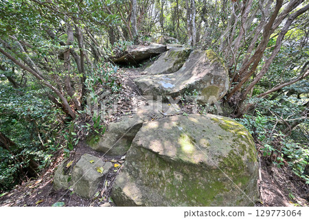 Kishitake Castle, Karatsu City, Saga Prefecture: Stone walls and enclosures of a mountain castle 129773064