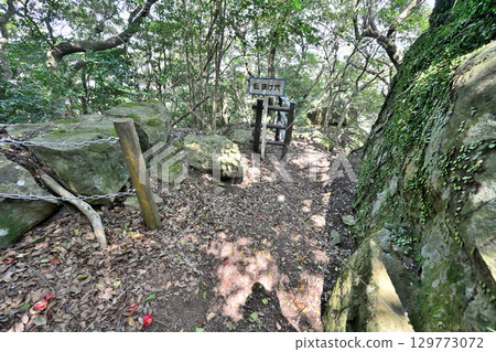 佐賀縣唐津市岸竹城：山城的石牆與圍牆 129773072