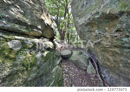 佐賀縣唐津市岸竹城：山城的石牆與圍牆 129773073