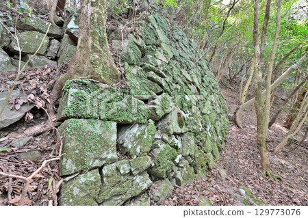 佐賀縣唐津市岸竹城：山城的石牆與圍牆 129773076