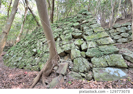 佐賀縣唐津市岸竹城：山城的石牆與圍牆 129773078