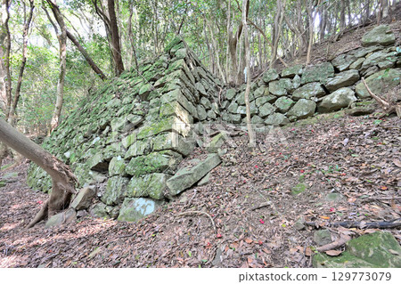 Kishitake Castle, Karatsu City, Saga Prefecture: Stone walls and enclosures of a mountain castle 129773079