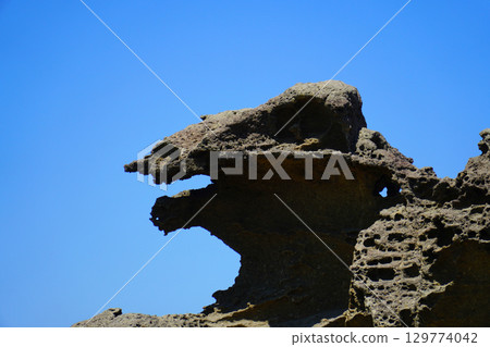 哥吉拉岩、男鹿半島、大方地質公園 129774042