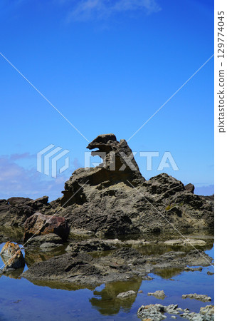 Godzilla Rock, Oga Peninsula, Ogata Geopark 129774045