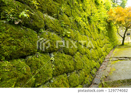 Oka Castle Ruins: Mossy Stone Walls 129774082