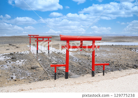 Ouo Shrine, Saga Prefecture, underwater torii gate 129775238