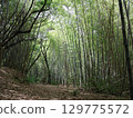 Bamboo forest at Otaka Takuchi Park Bamboo forest at Otaka Takuchi Park 129775572