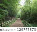 Bamboo forest at Otaka Takuchi Park Bamboo forest at Otaka Takuchi Park 129775573