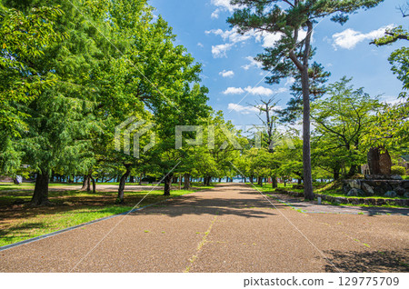 Summer at Zeze Castle Ruins Park, Otsu City, Shiga Prefecture Summer at Zeze Castle Ruins Park, Otsu City, Shiga Prefecture 129775709