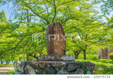滋賀縣大津市膳瀨城跡公園的夏天 129775714