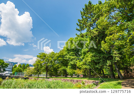 Summer at Zeze Castle Ruins Park, Otsu City, Shiga Prefecture 129775716