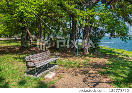 Summer at Zeze Castle Ruins Park, Otsu City, Shiga Prefecture 129775720
