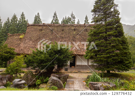 夏雨中的白川鄉古屋和茂密的樹木 129776432