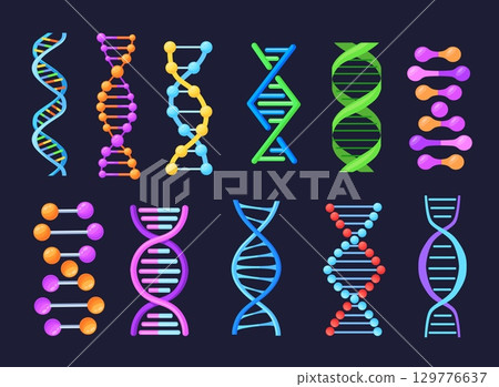 Dna helix model. Genetic strings abstract icons, molecule gene structure double string sequence genom biotech logo biology science concept, cartoon set neat vector illustration Dna helix model. Genetic strings abstract icons, molecule gene structure double string sequence genom biotech logo biology science concept, cartoon set neat vector illustration 129776637