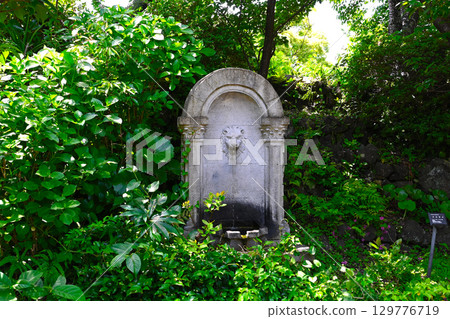 View of the New York Lamp Museum and Flower Garden 129776719
