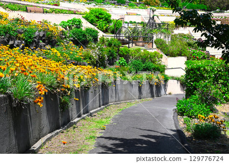 紐約燈具博物館和花園景觀 紐約燈具博物館和花園景觀 129776724