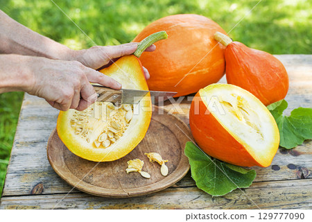 Hokkaido pumpkin red kuri squash cutting 129777090