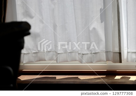 Short, privacy lace curtains 129777308