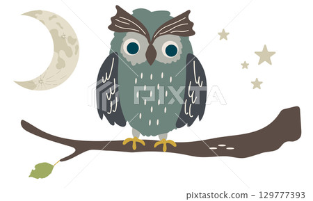 月夜森林裡的貓頭鷹插畫 129777393