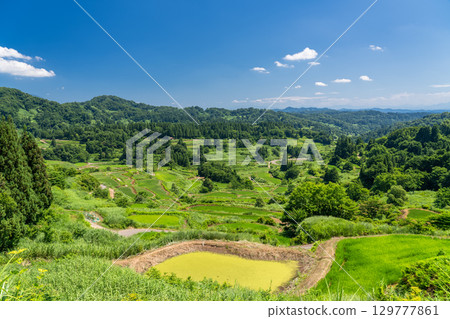 <<Niigata Prefecture>> Rice terraces at Hoshi Pass, summer rural scenery 129777861
