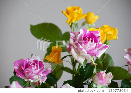spray rose bouquet 129778084