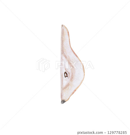 A piece of pear. Isolated watercolor illustration of a part of the fruit for the design of packages of juices, purees, baby food, jam, compotes, printing on posters and clothes. A piece of pear. Isolated watercolor illustration of a part of the fruit for the design of packages of juices, purees, baby food, jam, compotes, printing on posters and clothes. 129778285