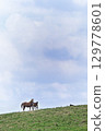 Horse eating grass in the meadow 129778601