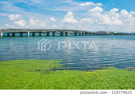 滋賀縣大津市近江橋 129779020