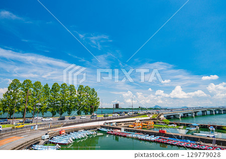 View of the metasequoia-lined Omi Bridge from Zeze Port, Otsu City, Shiga Prefecture View of the metasequoia-lined Omi Bridge from Zeze Port, Otsu City, Shiga Prefecture 129779028
