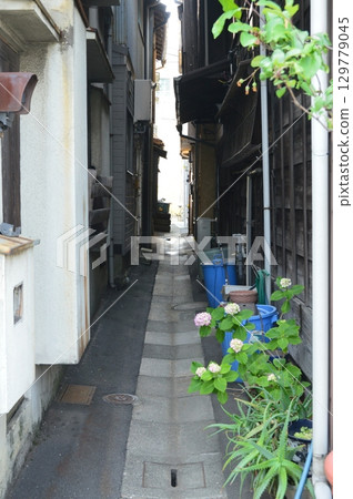 Tokyo downtown · alley back (Tokyo metropolitan area Kotohaku-jima) 129779045
