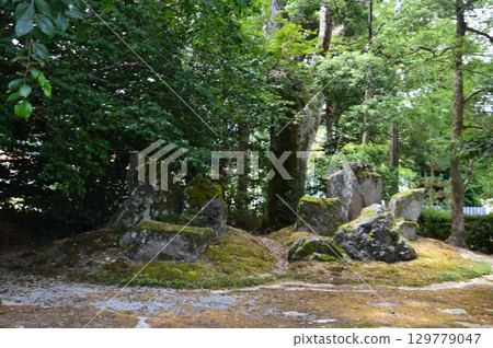 常陽花園(浦島神社境內 / 京都府與佐郡伊根町本所浜 141) 常陽花園(浦島神社境內 / 京都府與佐郡伊根町本所浜 141) 129779047
