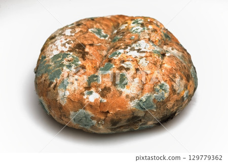Mould growing on old bread Mould growing on old bread 129779362