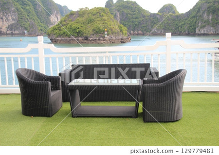 flowers in the garden flowers in the garden 129779481