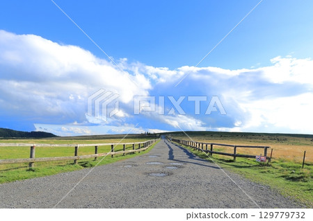 Walking path in Utsukushigahara Plateau, blue sky and clouds, Nagano Prefecture Walking path in Utsukushigahara Plateau, blue sky and clouds, Nagano Prefecture 129779732