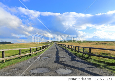 Walking path in Utsukushigahara Plateau, blue sky and clouds, Nagano Prefecture 129779734