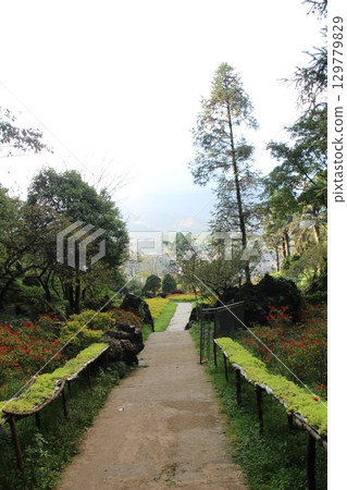 Pagoda and temples and festivals in vietnam Pagoda and temples and festivals in vietnam 129779829