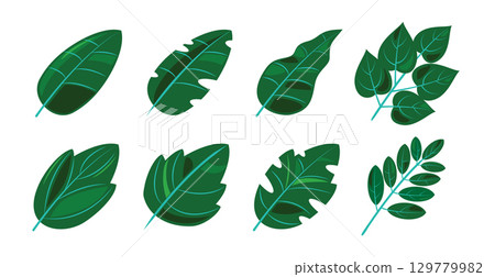 Tropical Green Leaves Vector Set 129779982