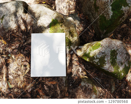 Book mockup on dry leaves with tree shadows and surrounding rocks natural outdoor background for branding design education storytelling and inspirational concepts Book mockup on dry leaves with tree shadows and surrounding rocks natural outdoor background for branding design education storytelling and inspirational concepts 129780568