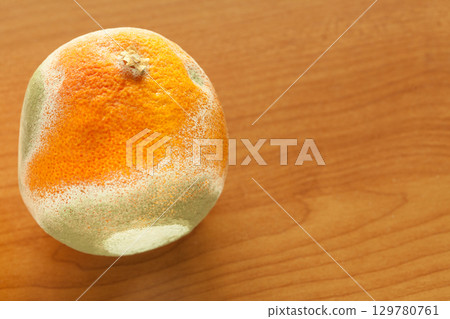 Moldy grapefriut on plate. 129780761