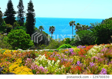 紐約燈具博物館和花園景觀 129780830