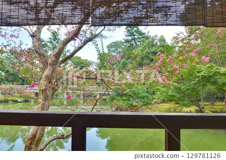 從京都御苑秋水亭二樓眺望 從京都御苑秋水亭二樓眺望 129781126