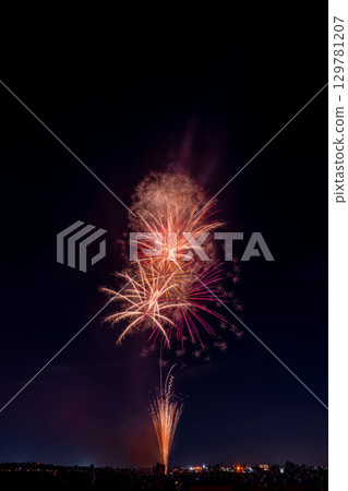 開花在夜空的煙花 129781207
