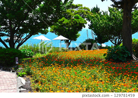 紐約燈具博物館和花園景觀 紐約燈具博物館和花園景觀 129781459