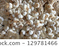 Organic Garlic Bulbs Cluster. Rustic Texture and Natural Roots 129781466