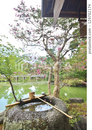 秋水亭的陷落 129782174