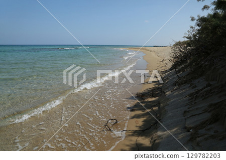 Crystal clear waters along a sandy beach with lush dunes 129782203