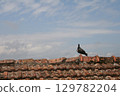 pigeon stands on weathered roof against blue cloudy sky 129782204